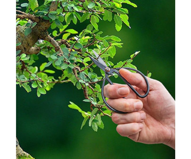 Nożyce ogrodowe do kwiatów bonsai