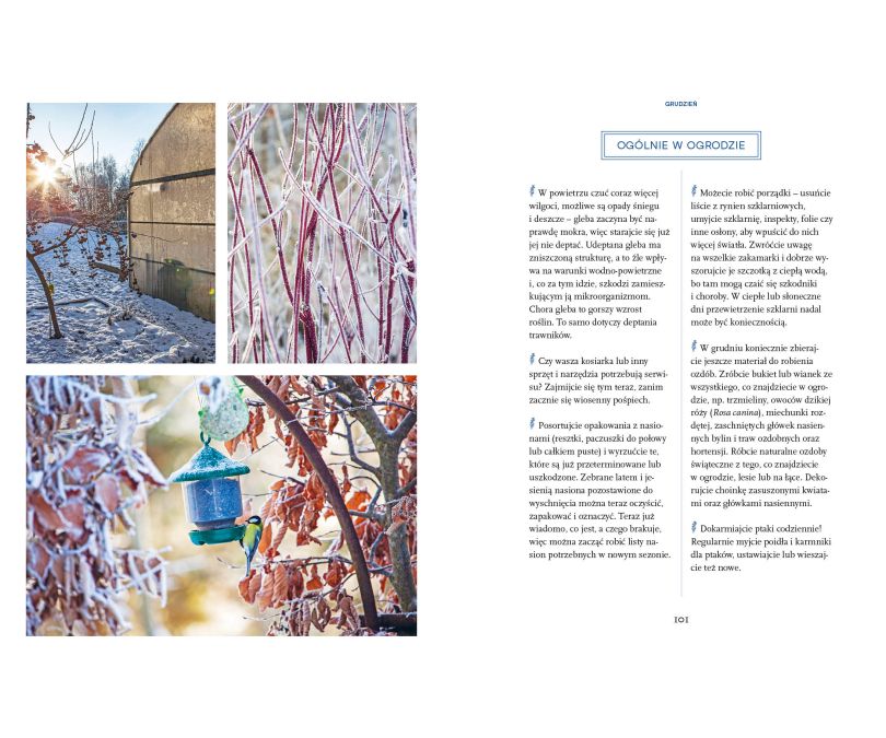 Dobry rok w ogrodzie