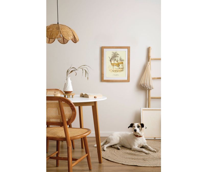 Plakat retro antylopy