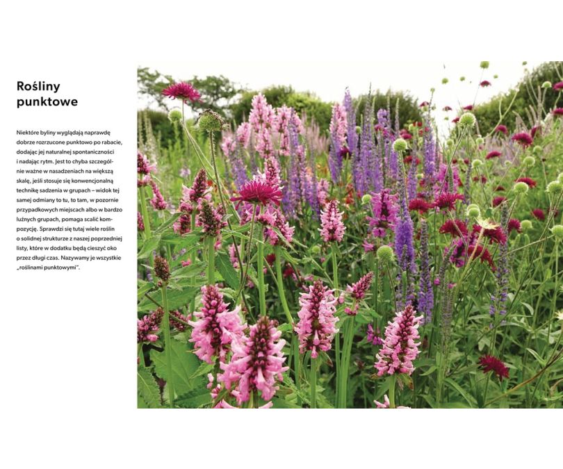 Tworzę ogród naturalny