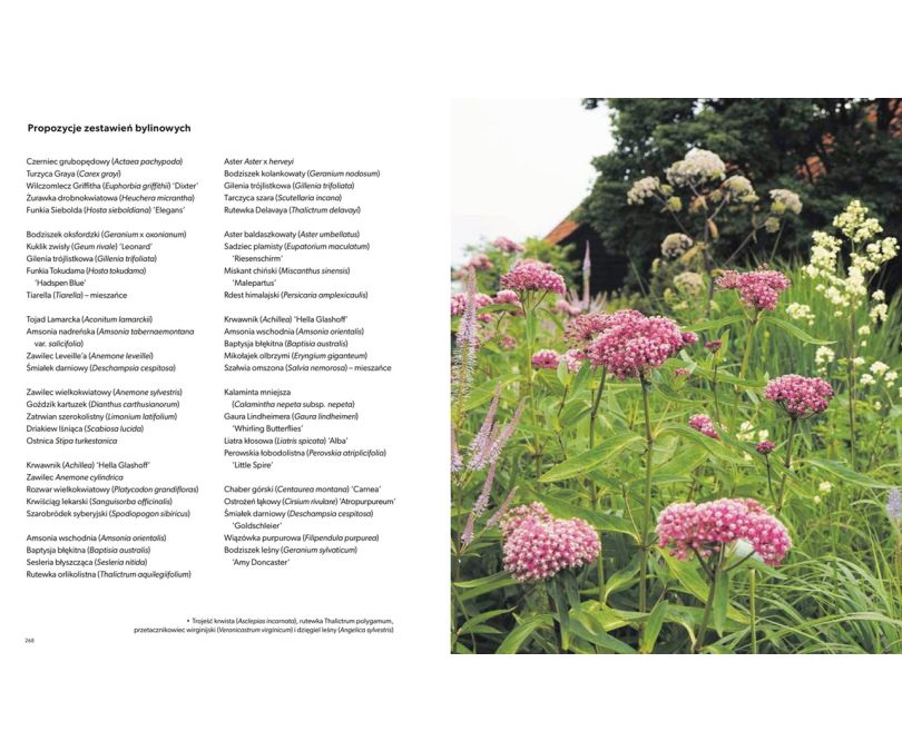 Tworzę ogród naturalny