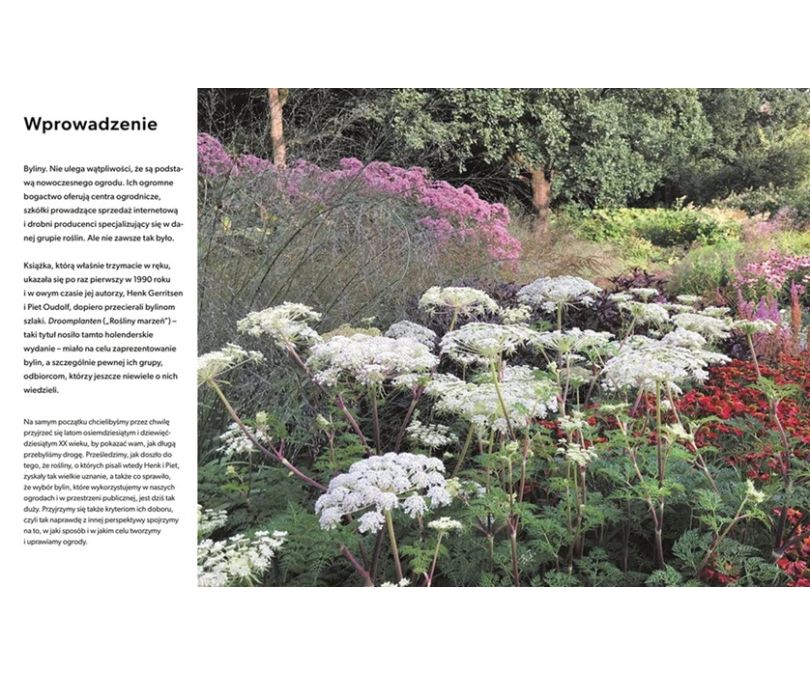 Tworzę ogród naturalny