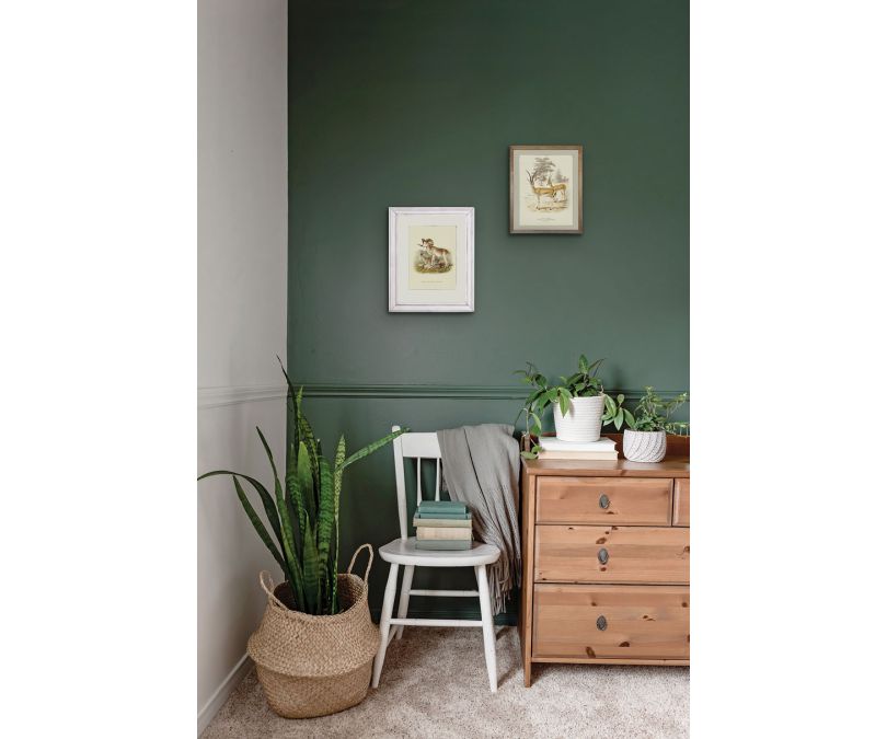 Plakat retro muflony