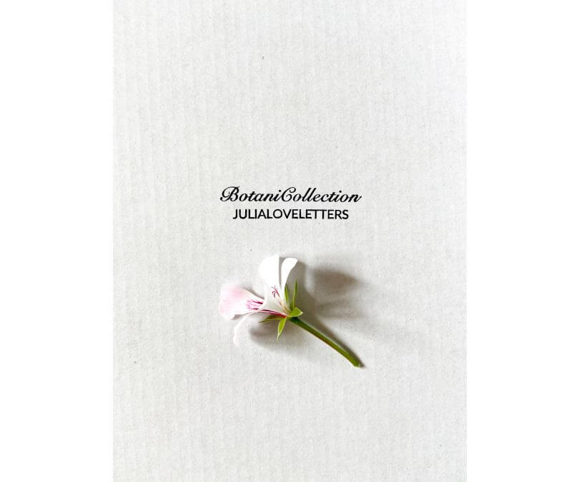 Botaniczna dekoracja ścienna kwiat w metalowej ramce julia love letters