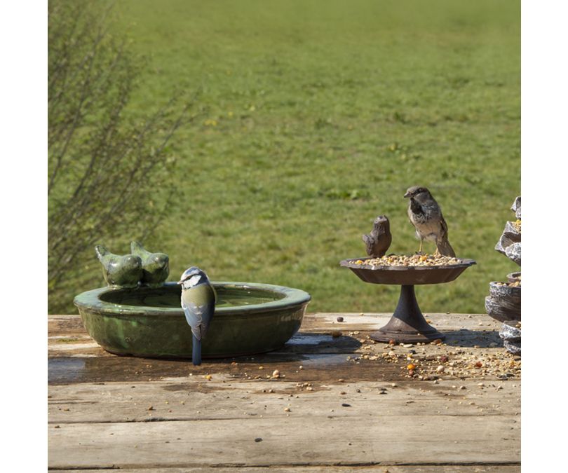 Poidełko basen dla ptaków - ceramiczne zielone