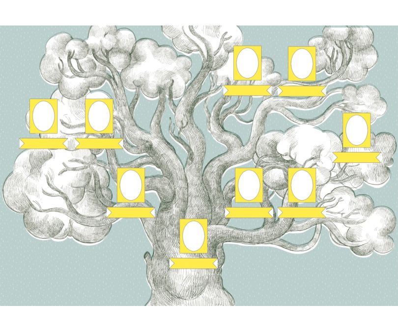 MOJA RODZINA - DRZEWO GENEALOGICZNE