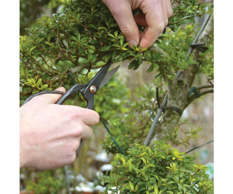 Nożyczki ogrodnicze Bonsai  Esschert design