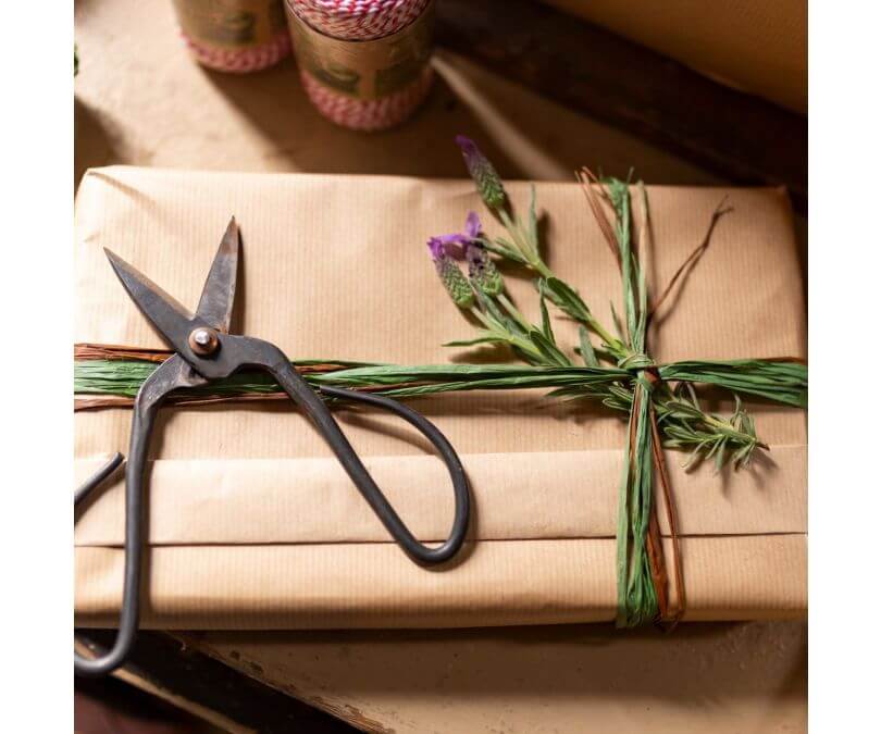 Nożyczki ogrodnicze Bonsai  Esschert design