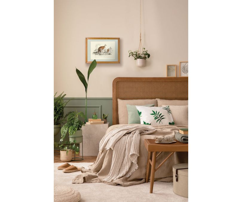 Plakat retro kangury