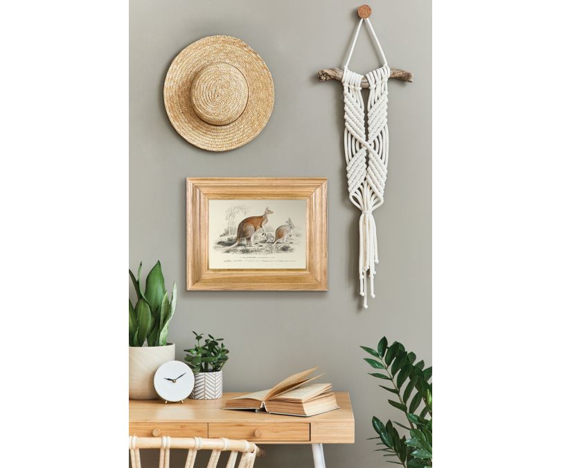 Plakat retro kangury