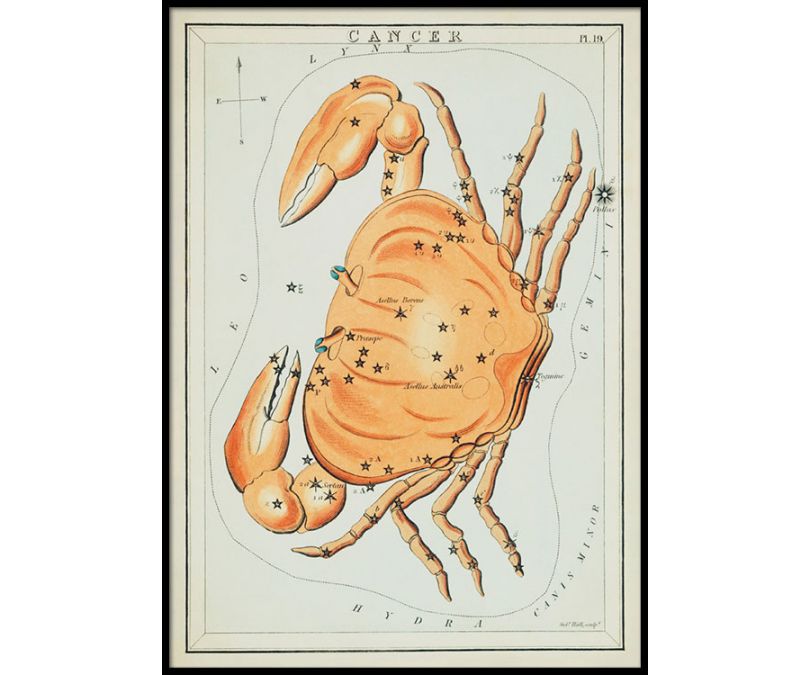 Plakat znaki zodiaku retro - Rak