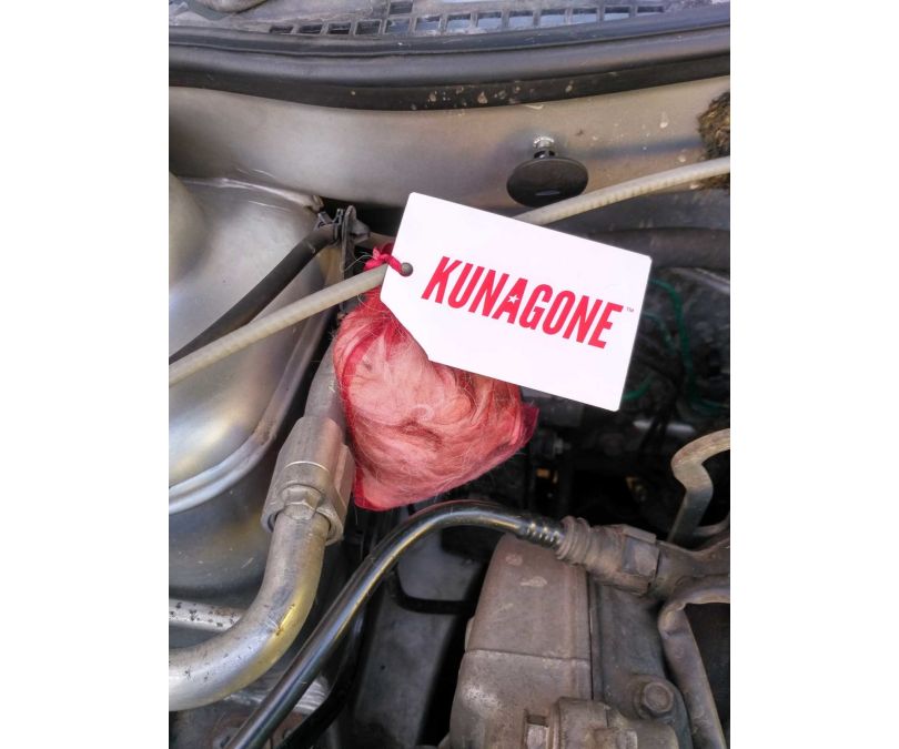 Kunagone odstraszacz kun